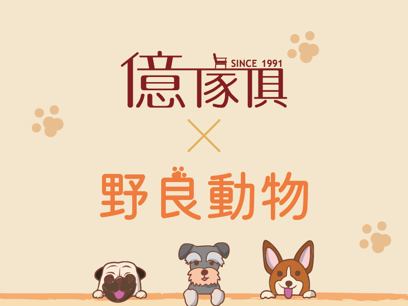 億家具Ｘ野良動物の家