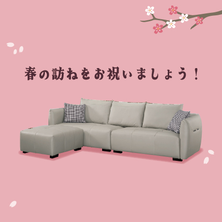 春分特惠